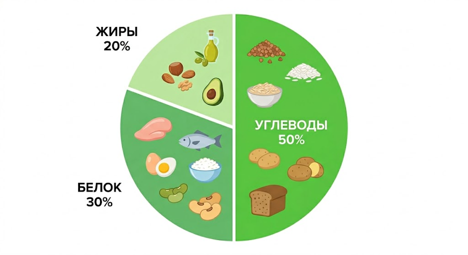 руговая диаграмма соотношения макронутриентов для набора массы: 50% углеводы (гречка, рис, овсянка, картофель, цельнозерновой хлеб), 30% белки (куриная грудка, рыба, яйца, творог, бобовые), 20% жиры (оливковое масло, орехи, авокадо). 