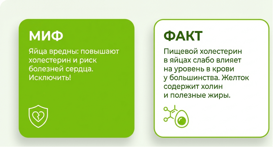 Карточка миф/факт про каши и яйца