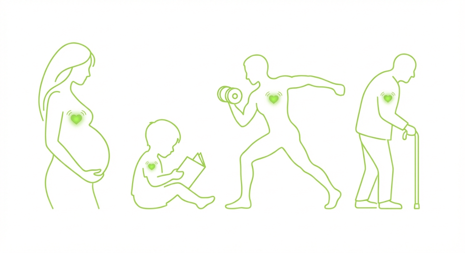 Иконографика для 4 групп