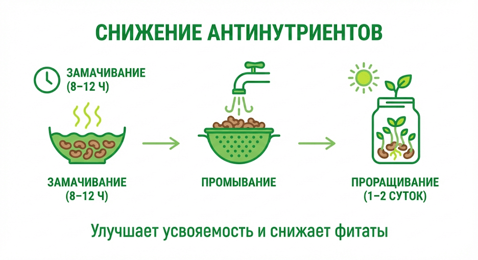 Схема снижения антинутриентов замачиванием и проращиванием