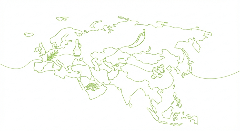 Карта мира с маркерами кухонь и их ключевых пряностей/уксусов.