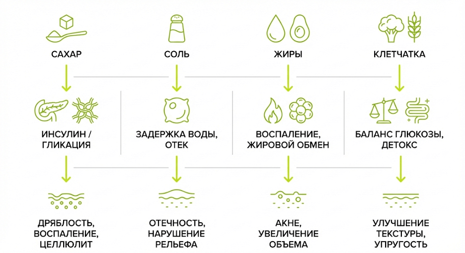 Инфографика влияния сахара, соли, жиров и клетчатки на механизмы целлюлита