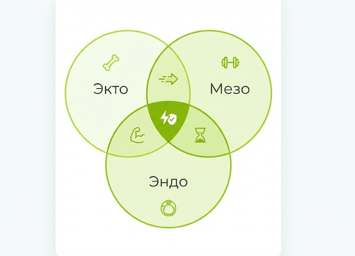 Диаграмма пересечений соматотипов