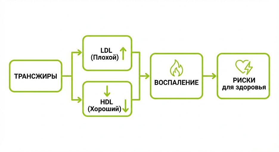 Схема влияния трансжиров на липиды, воспаление и риск ССЗ