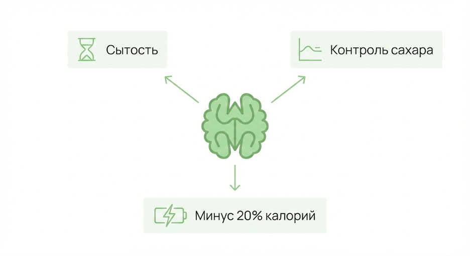Схема механизмов влияния орехов на снижение веса