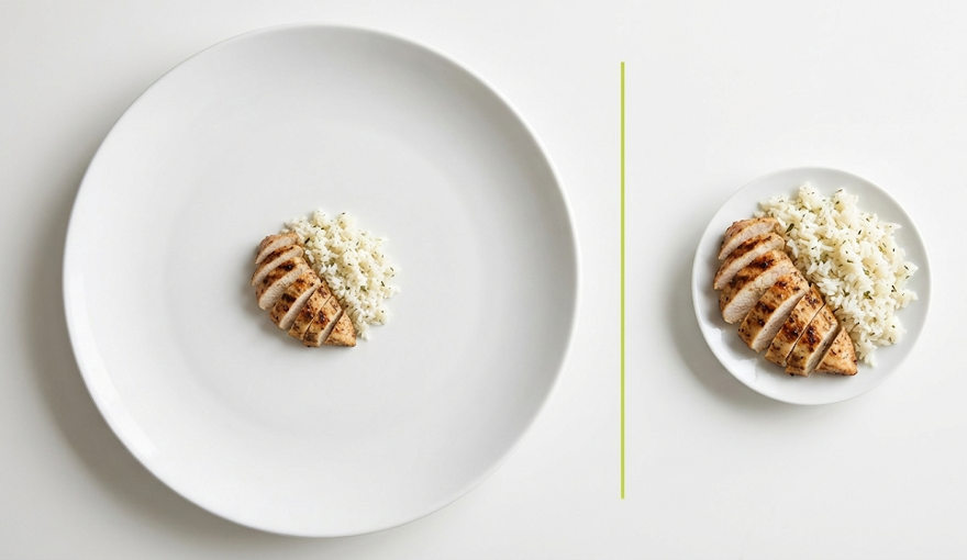 еда контрастна тарелке