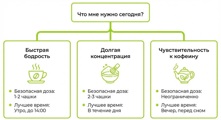Инфографика «Дерево решений»