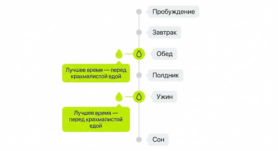 Оптимальное время приема яблочного уксуса для контроля сахара и аппетита