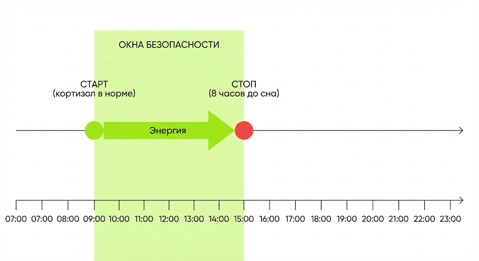Таймлайн суток: подъём → окно кофе → последняя чашка → «без кофеина»