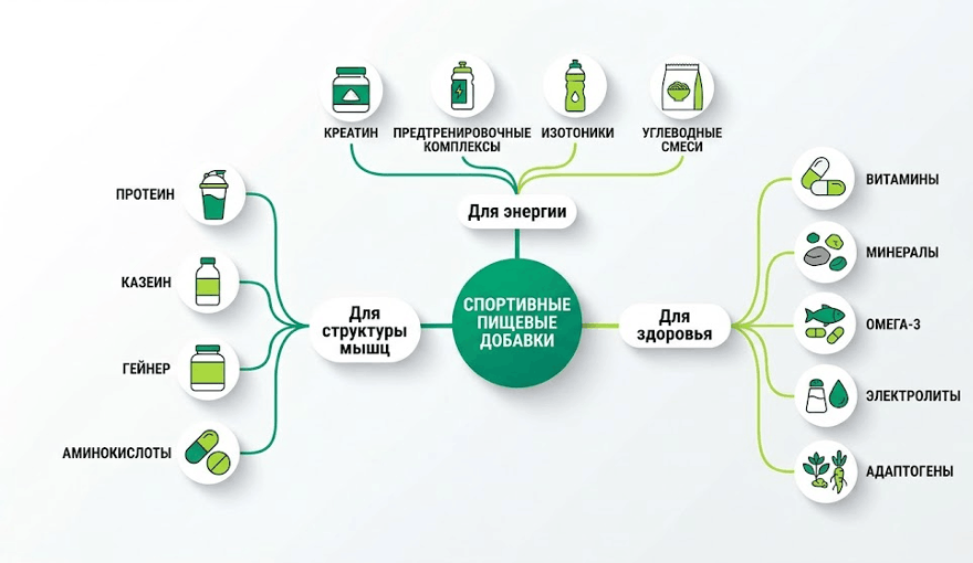 древовидная схема, разделяющая спортивные пищевые добавки на три ветви: «Для структуры мышц», «Для энергии», «Для здоровья». В первой ветви: протеин, казеин, гейнер, аминокислоты. Во второй ветви: креатин, предтренировочные комплексы, изотоники, углеводные смеси. В третьей ветви: витамины, минералы, омега-3, электролиты, адаптогены