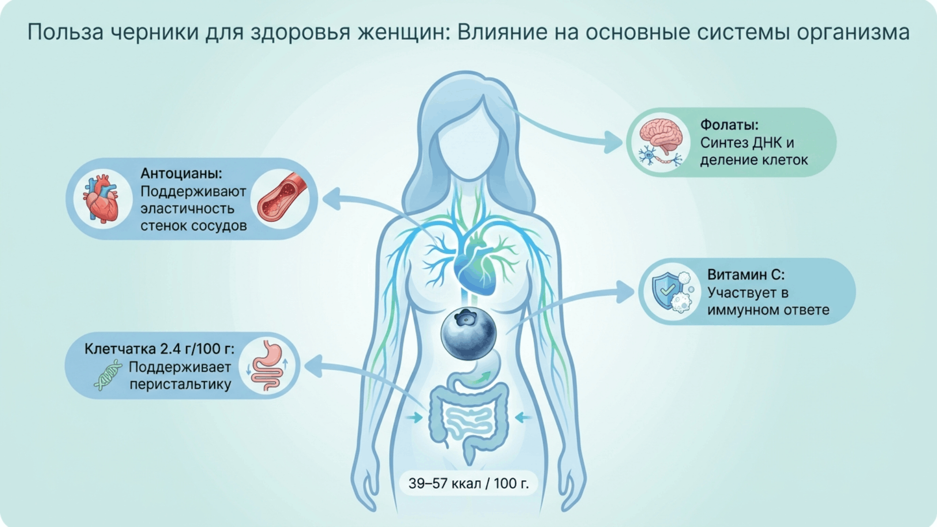 Голубика при беременности