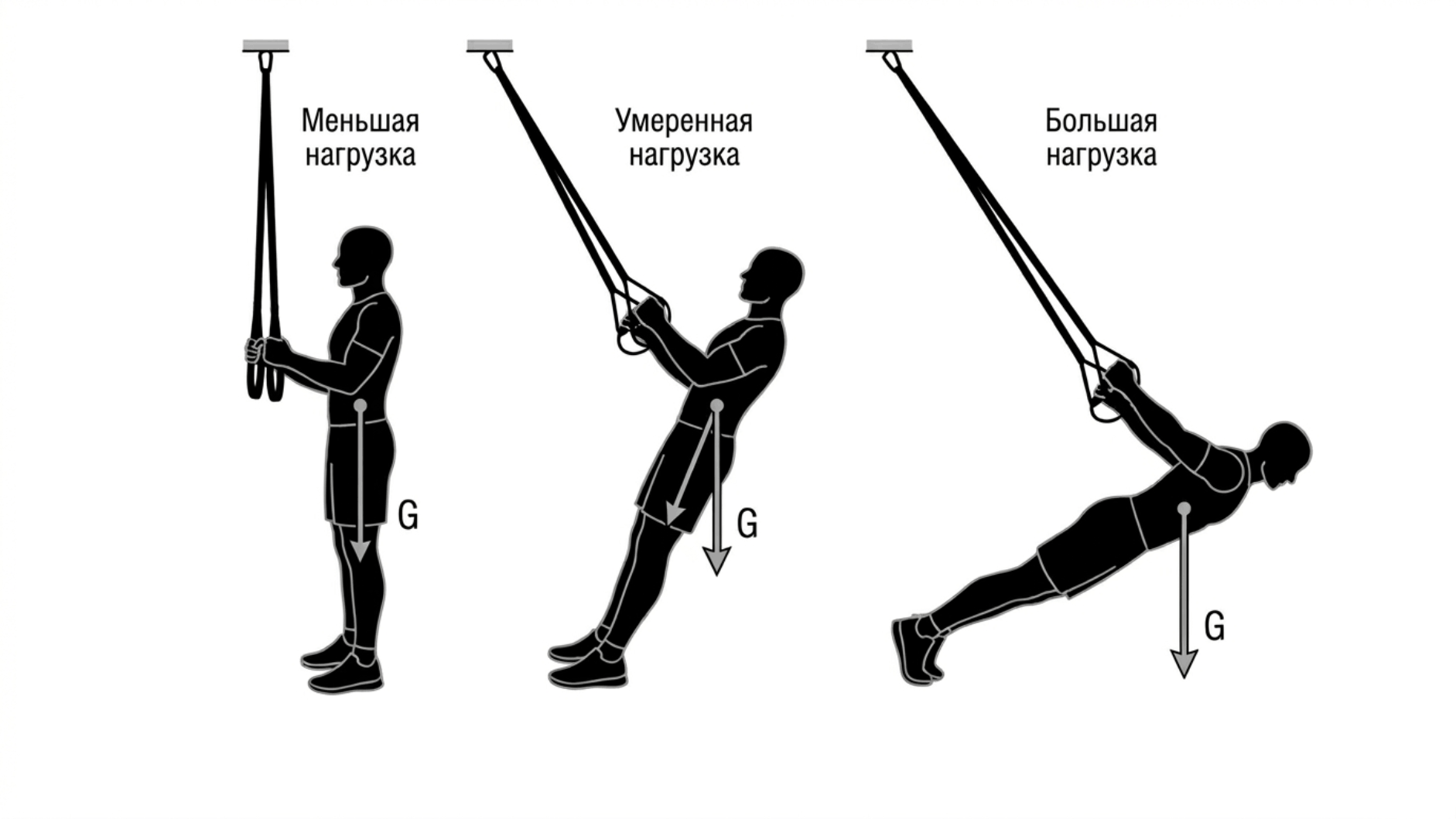 TRX тренировка